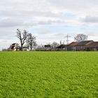 Ferme de la Longue Vue - Visé (B)