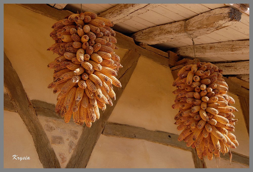 ferme des planons