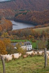 Ferme Misère