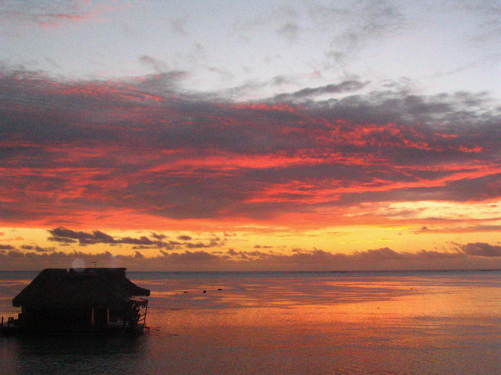 ferme perliere au coucher du soleil