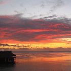 ferme perliere au coucher du soleil