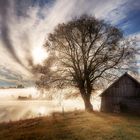 ferme sarthoise