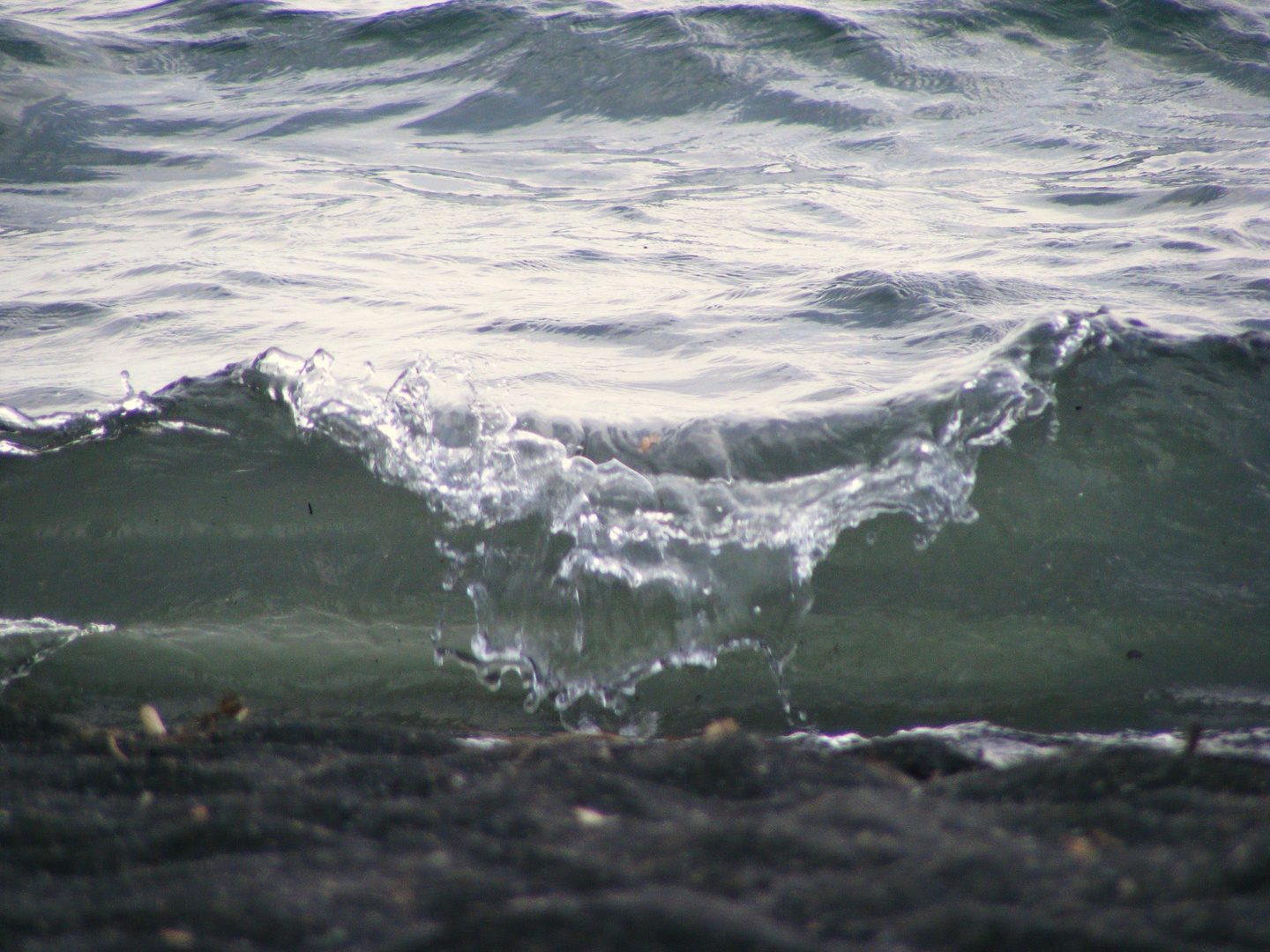 Fermo d'onda