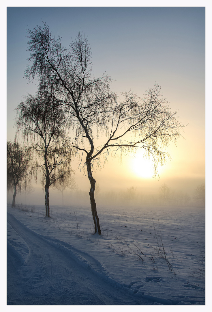 Fern der Hektik