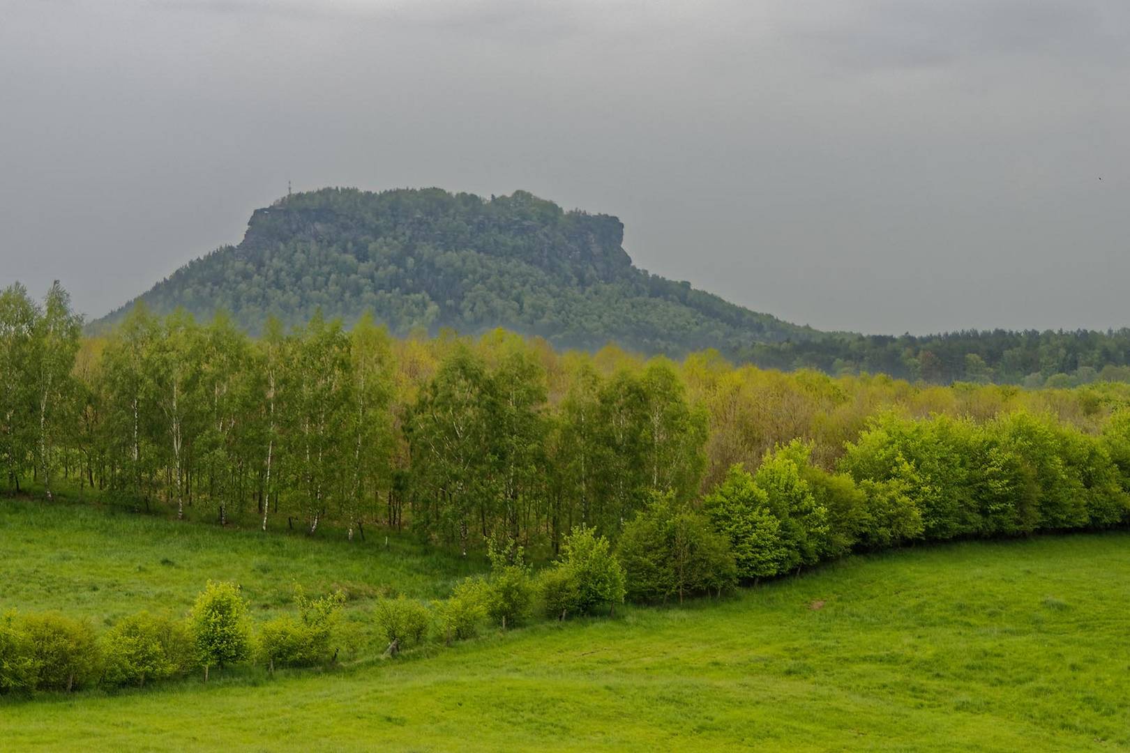 Fern der Lilienstein