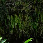 Fern Grotto am Wailua-River