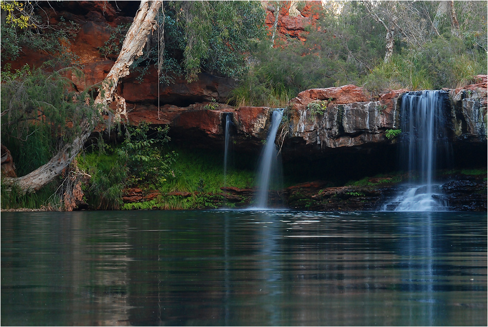 Fern Pool