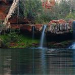 Fern Pool