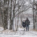 FERN VOM BILDSCHIRM DEN WINTER FROHEN HERZENS GENIESSEN