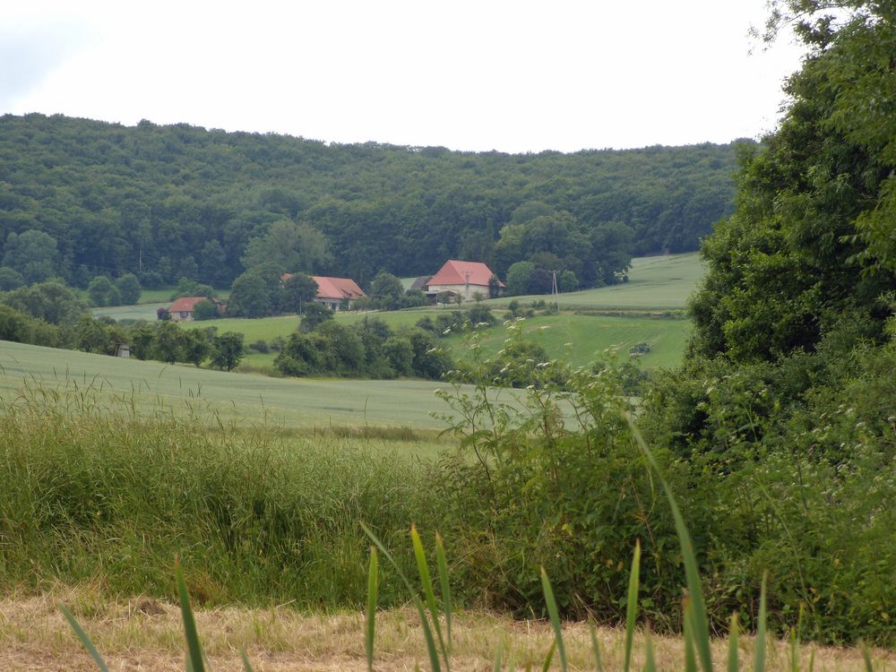 Fernab vom Trubel und doch teil der Stadt ; Gut Wickershausen bei Northeim.