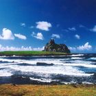 Fernando de Noronha (4)