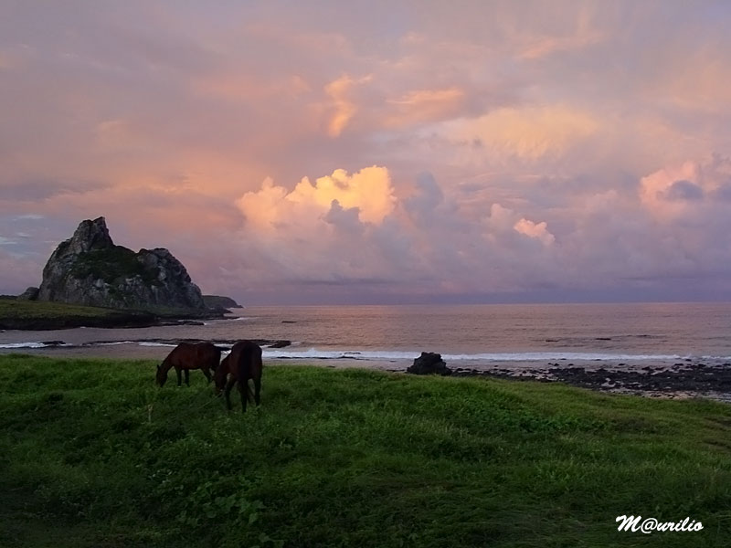 Fernando de Noronha Isle