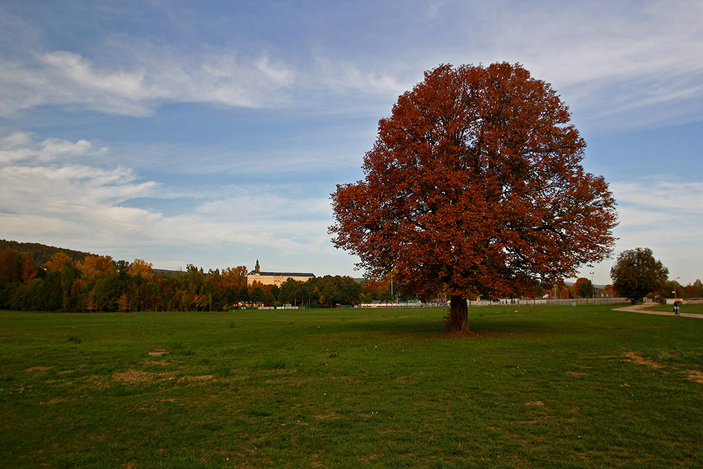 Fernblick