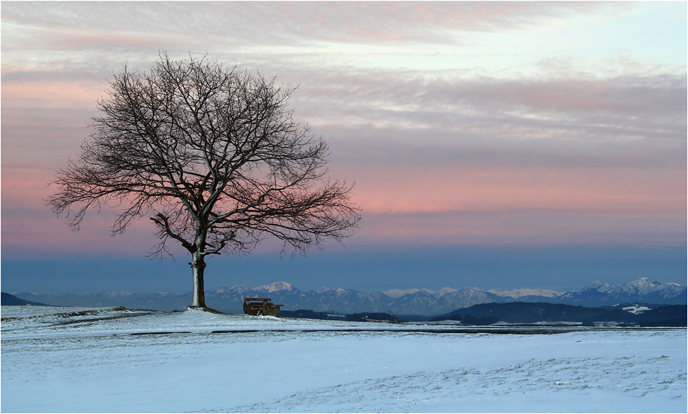 Fernblick