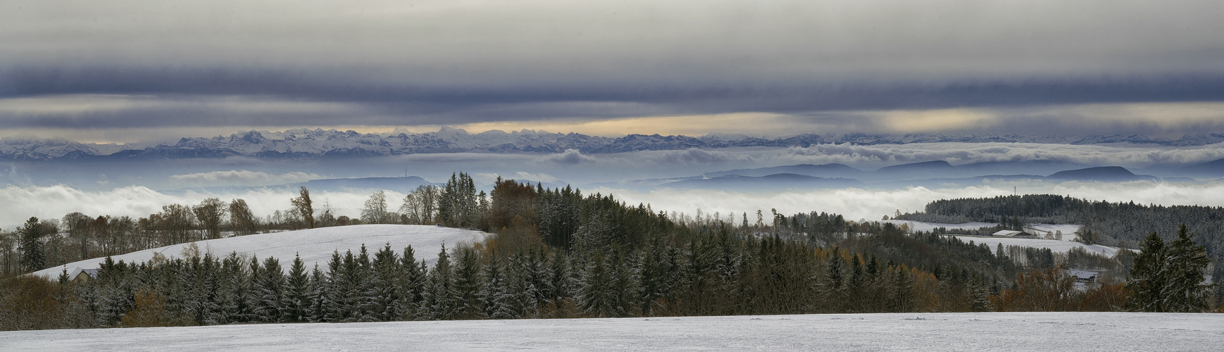 Fernblick