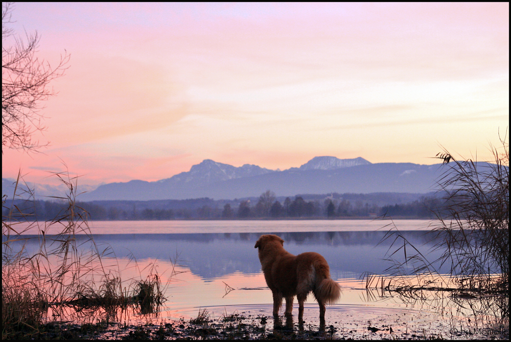 Fernblick