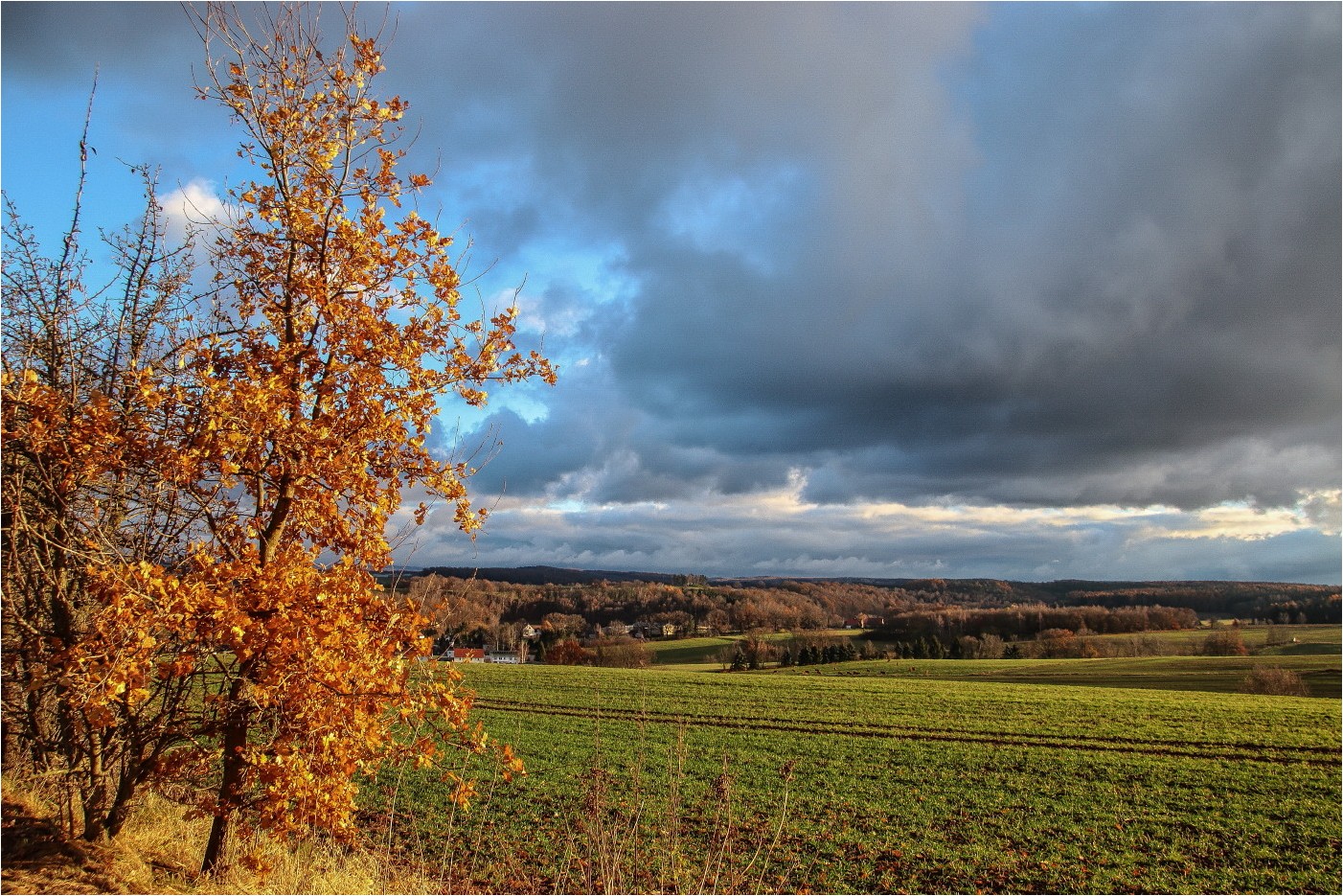 Fernblick