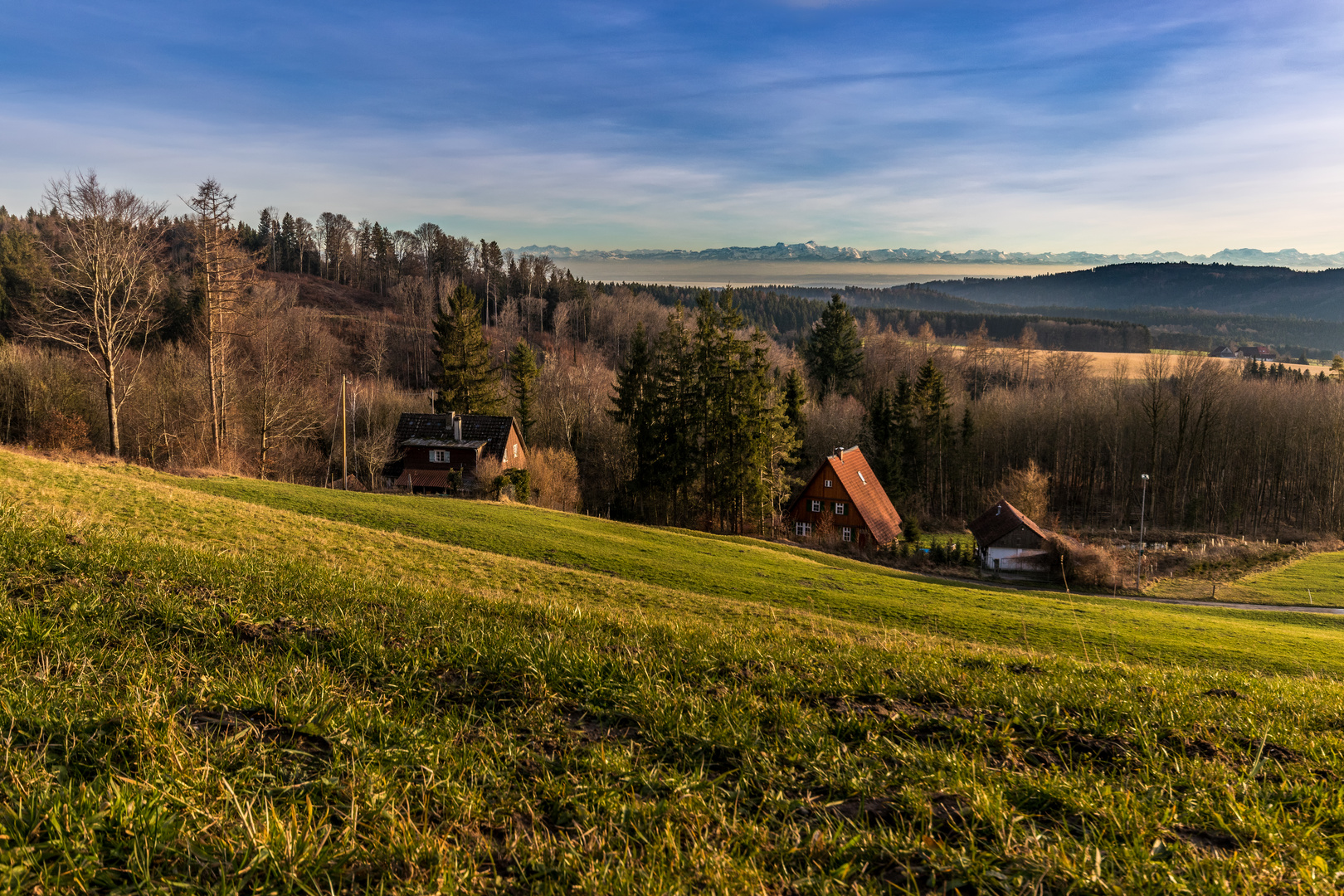 Fernblick auf die Alpen bei Oberndorf / Pfullendorf