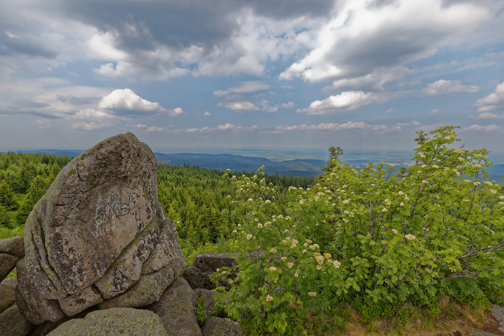 Fernblick