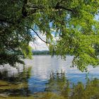 Fernblick durch die Blätter