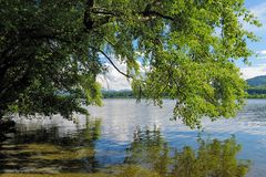 Fernblick durch die Blätter