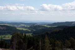 Fernblick