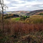 Fernblick im Herbst