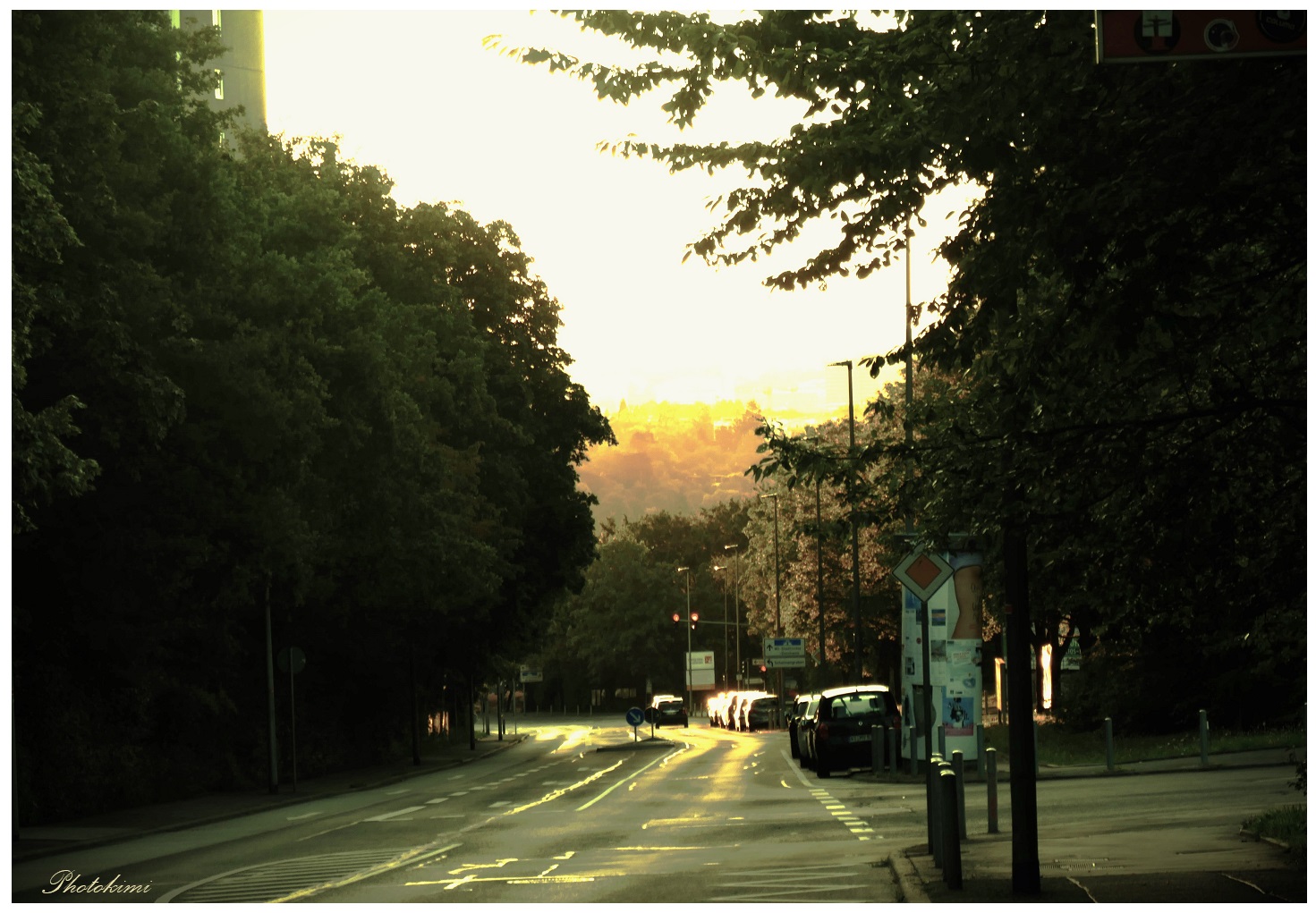 Fernblick im Morgenlicht