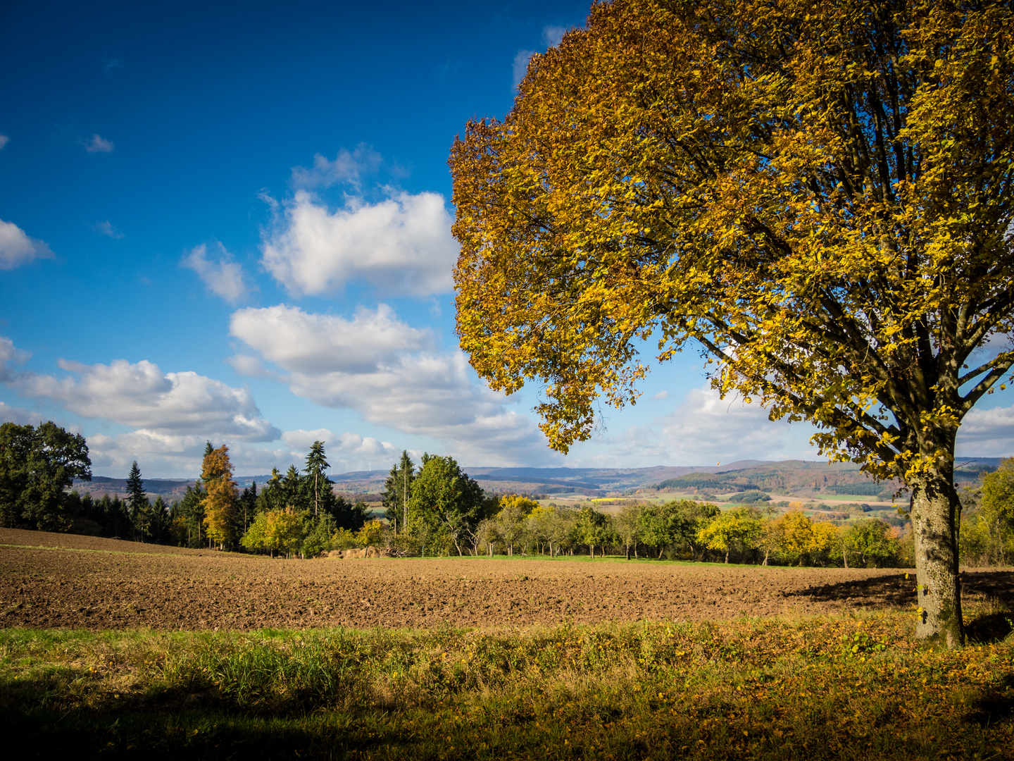 Fernblick in den Westerwald