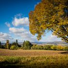 Fernblick in den Westerwald