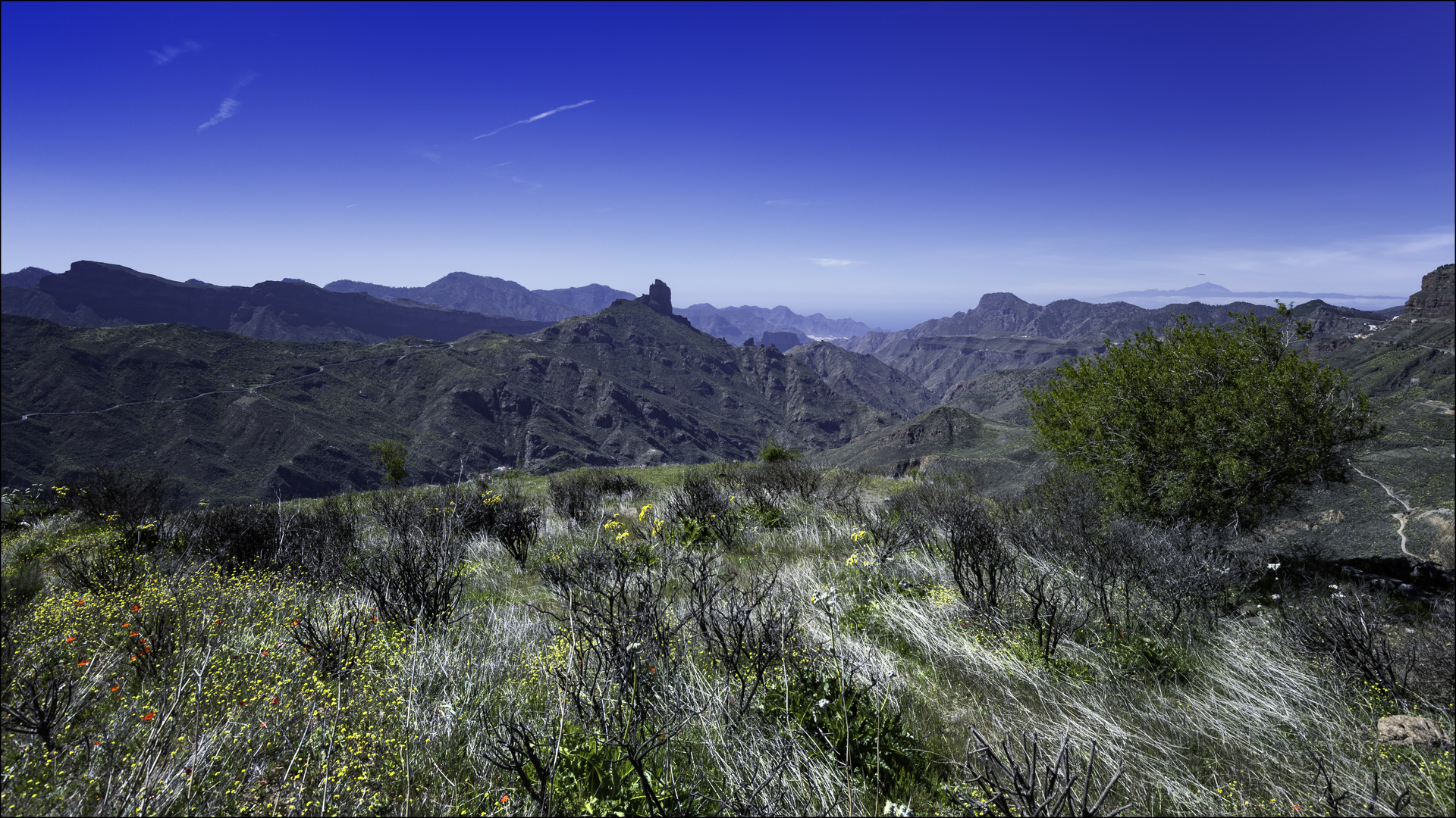 Fernblick mit Teide