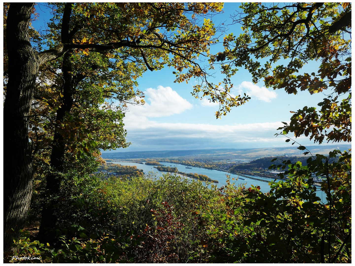 Fernblick über dem Rhein 