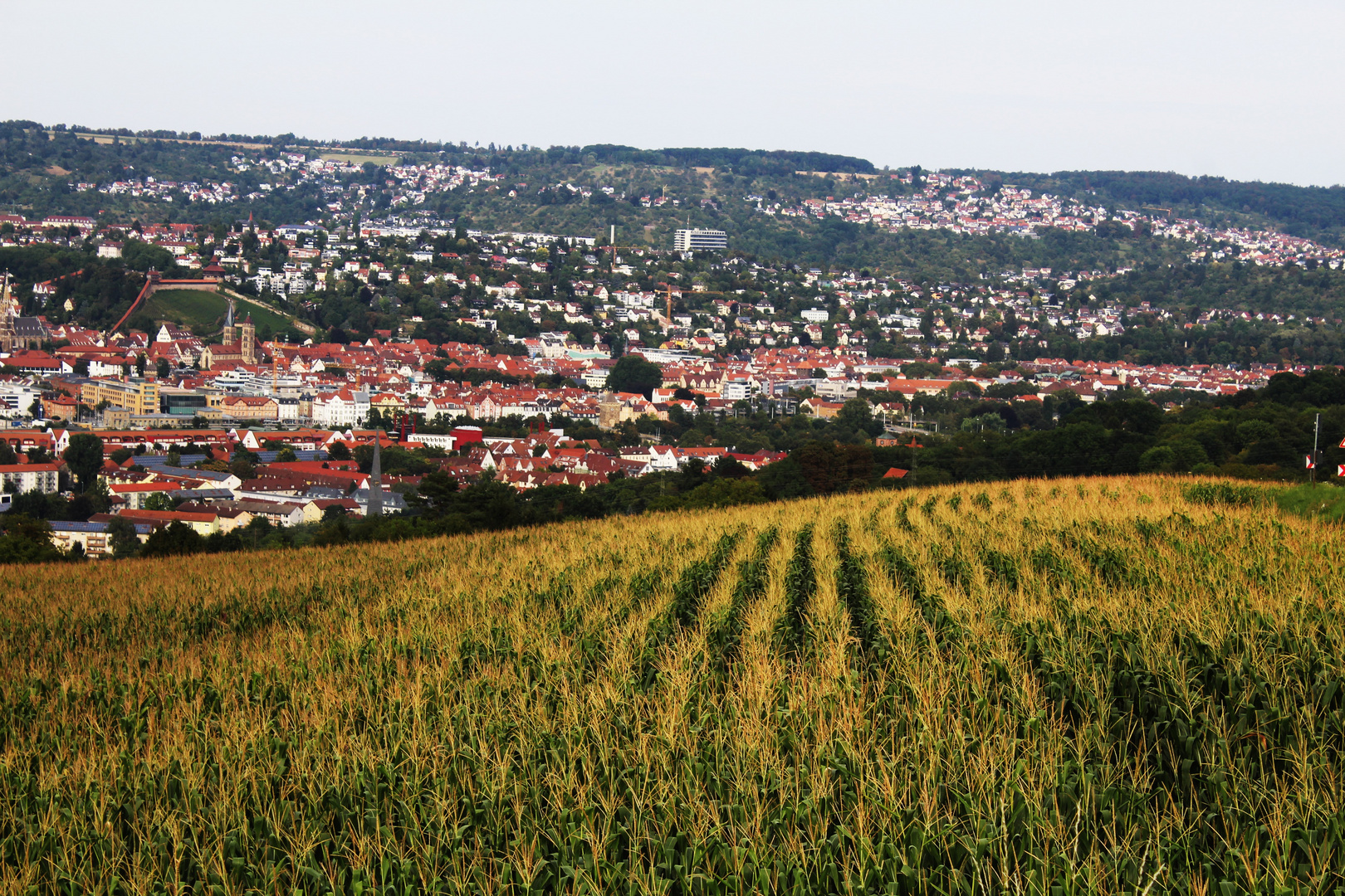 Fernblick übers Land