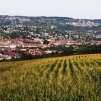 Fernblick übers Land