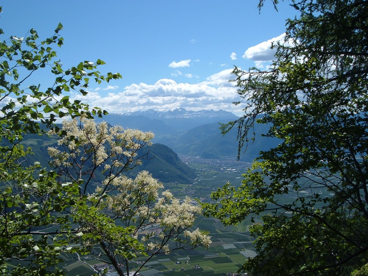 Fernblick zum Rosengarten