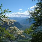 Fernblick zum Rosengarten