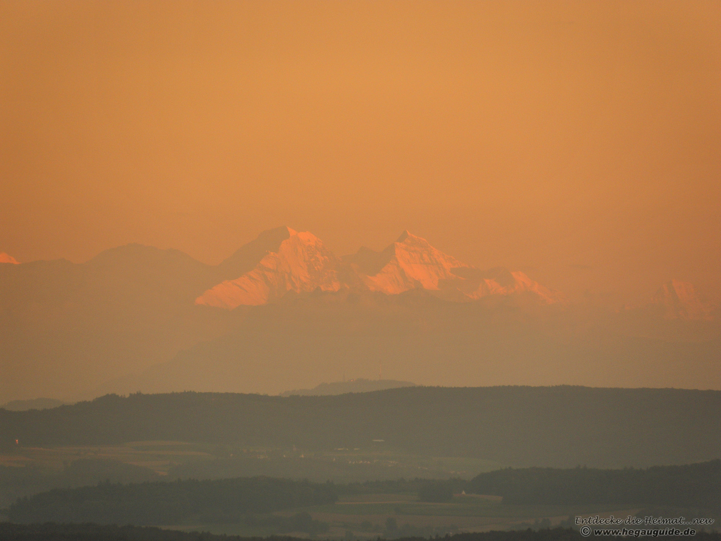 Ferne Schweizer Alpengipfel im Abendlicht