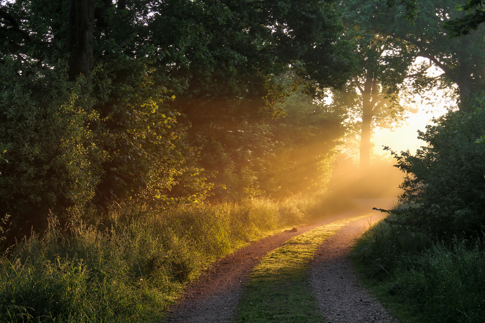 Fernlicht kommt um die Ecke .... von der Sonne