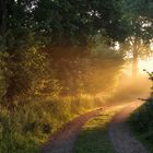 Fernlicht kommt um die Ecke .... von der Sonne