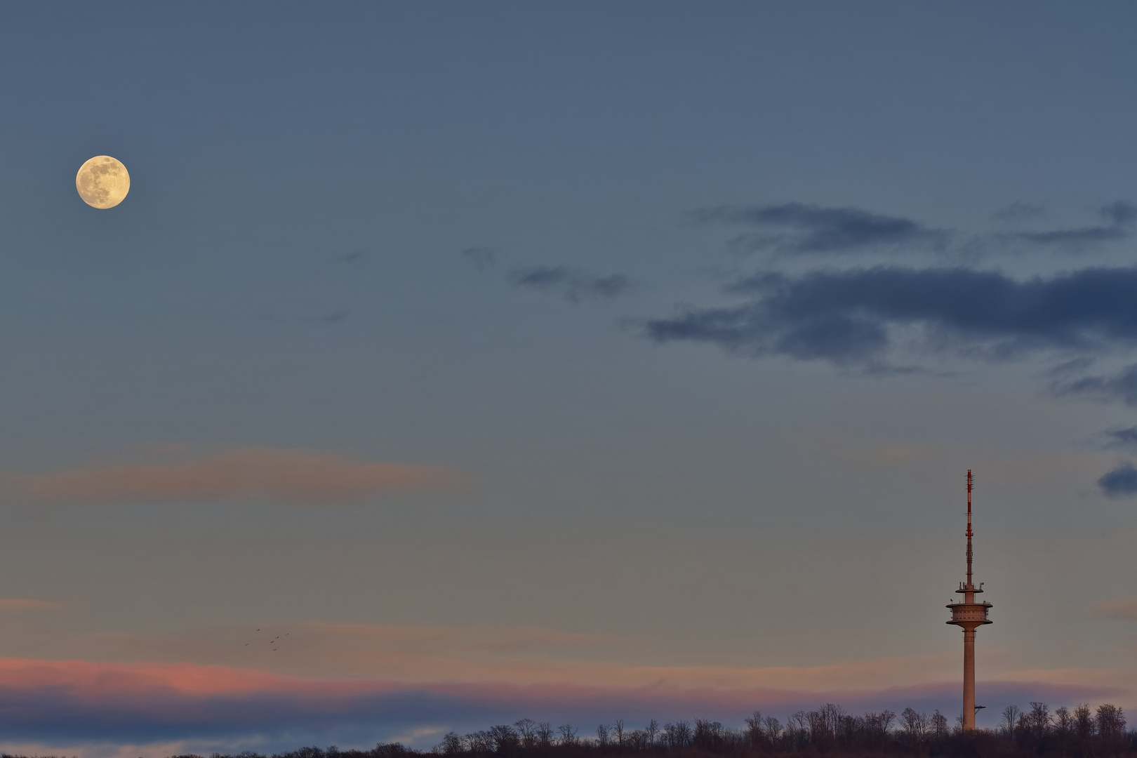 Fernmeldeturm im Abendrot mit Vollmond