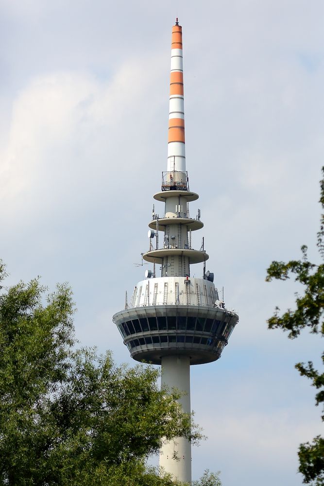 Fernmeldeturm im Luisenpark in Mannheim