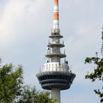 Fernmeldeturm im Luisenpark in Mannheim