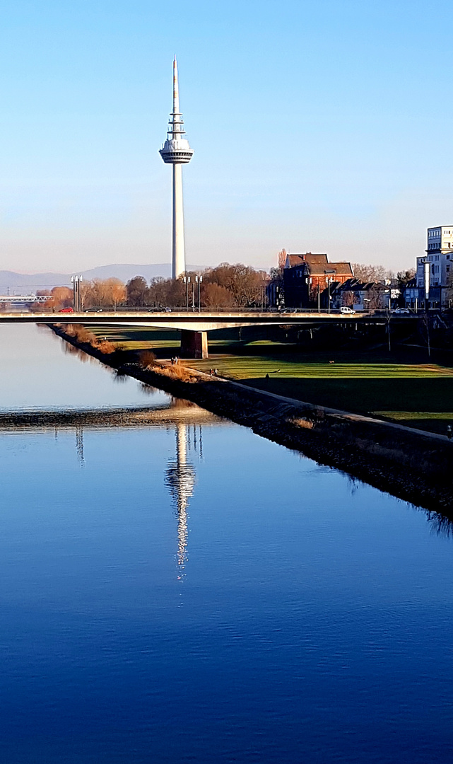 Fernmeldeturm in Mannheim - Spiegelung im Neckar