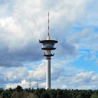 Fernmeldeturm in Wiesental / Waghäusel