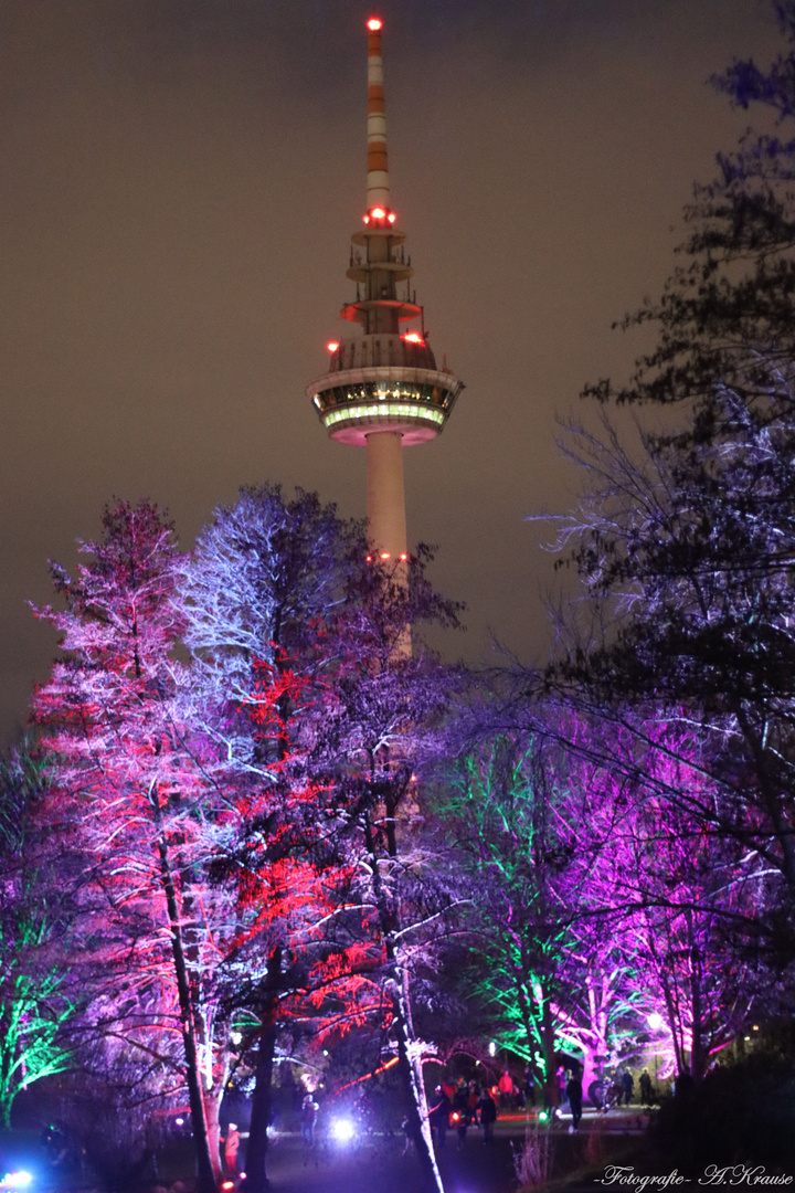 Fernmeldeturm Mannheim