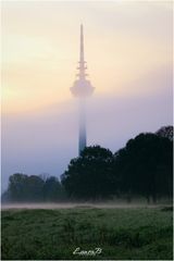 Fernmeldeturm Mannheim im Nebel
