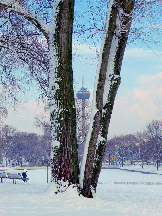 Fernmeldeturm zwischen den Bäumen