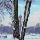 Fernmeldeturm zwischen den Bäumen