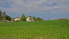 Fernreitherhof mit Holz