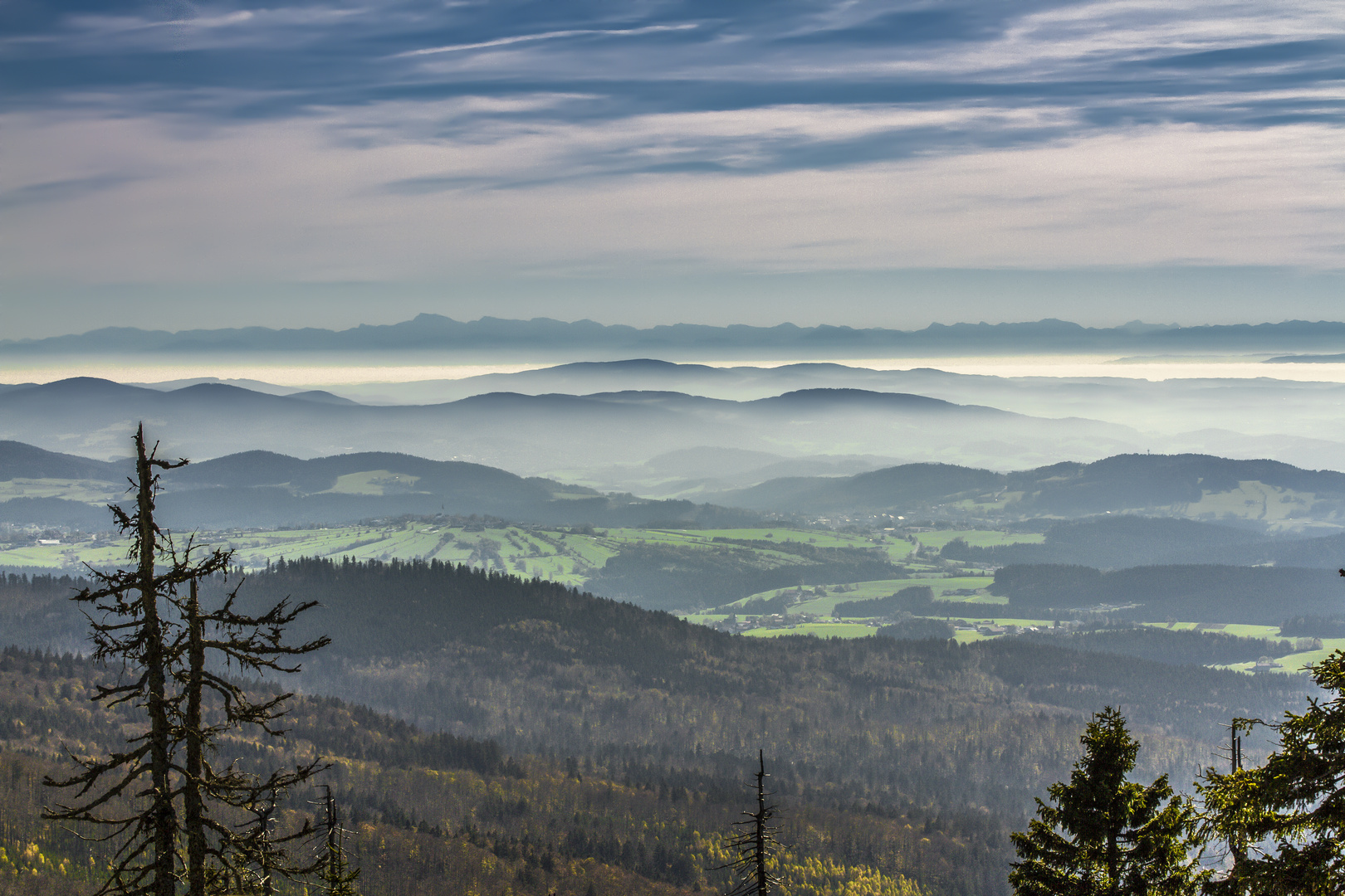 Fernsehen